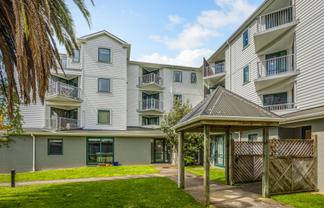 C4/13 Palm Grove, Berhampore