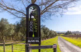 Leafyridge Olives  The Ultimate Lifestyle Business