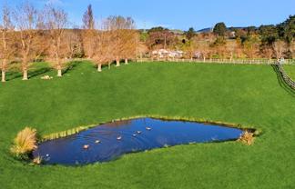 30 Forest Hill Road, Aokautere