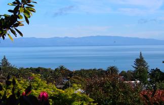 16 Champion Terrace, Moana