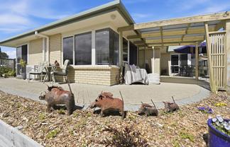 27 Mahonia Place, Pyes Pa