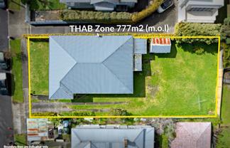 3 Herbert Road, Mount Eden