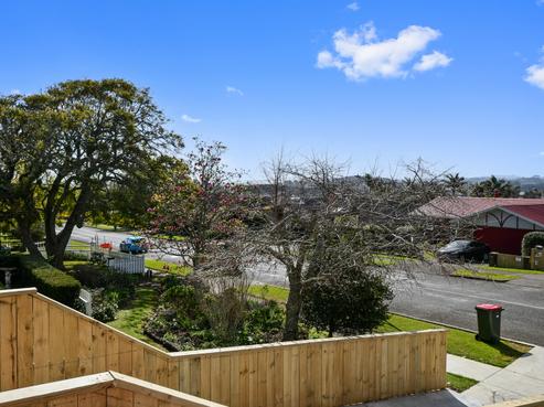 161 Wellington Street, Pukekohe