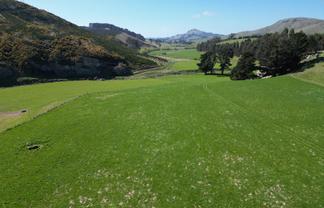 Patterson Road, Goodwood