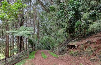 Lot 1, 106 Totara Park Lane, Glenbervie