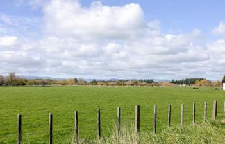 55 Troup Road, Woodville