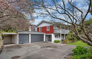 38 Juliet Avenue, Howick