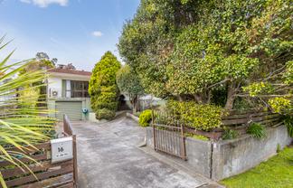 16 Handyside Street, Tawa