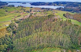 166 SH2 Lot 3, Opotiki and Surrounds