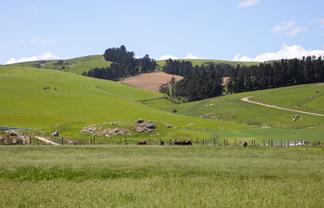 Lot 13, 0 Oven Hill Road, ROXBURGH