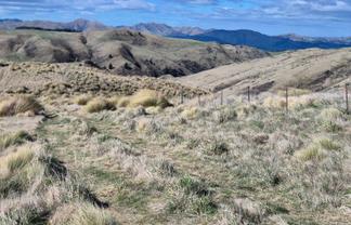  Golden Bar Road, Dunback