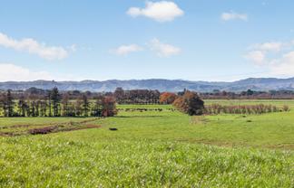 807 Te Ohaki Road, Huntly