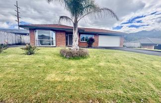 3 Trinity Place, Albany