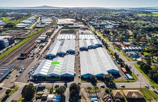 CBRE | Road-Front Warehouse in Tamaki Estate