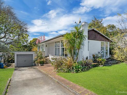 41 Landon Avenue, Mangere East