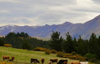  McKenzie Road, Livingstone, DUNTROON