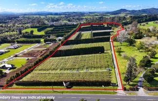 Rare 9.2ha Kerikeri development opportunity