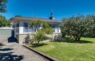 12 Harold Holt Avenue, Onekawa