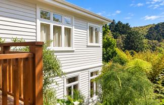 6 Semeloff Terrace, Aro Valley
