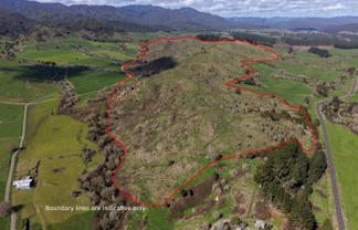Lot 4, 283 Minginui Road, Galatea