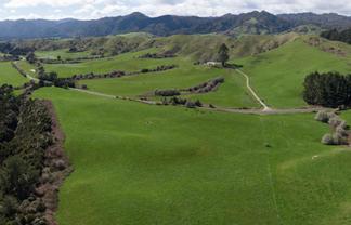 Lot 3, 283 Minginui Road, Galatea