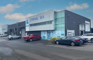 Industrial Location and Parking