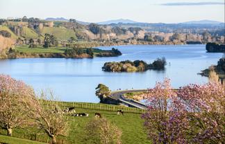 2400 Maungatautari Road, Cambridge