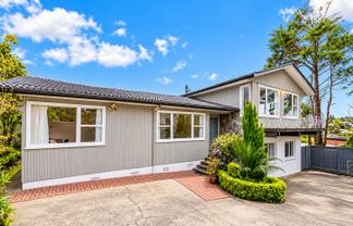 14 Tropicana Drive, Mount Roskill