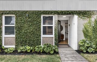 1/9 Buxton Street, Point Chevalier