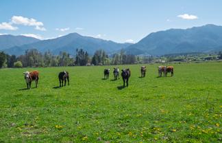 280 Chatterton Road, Hanmer Springs