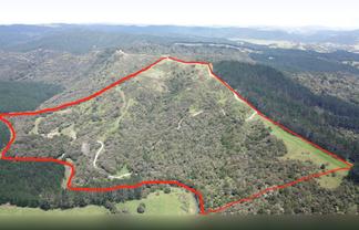 297A Wilson Road, Wellsford