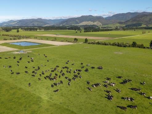 22 Bartons Road, Featherston