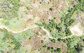 272 Waikuku Road, Waimate North
