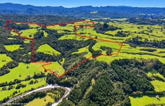 2593 Tapu Coroglen Road, Coroglen