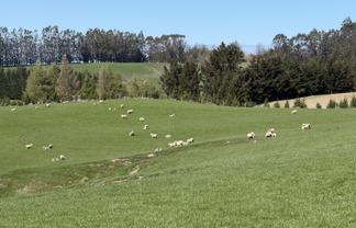 1680 Mahinerangi Road, Lee Stream