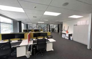 PROFESSIONAL OFFICE @  42 TAWA DRIVE - 250M2