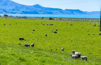 4667 State Highway 1, Clarence, Kaikoura