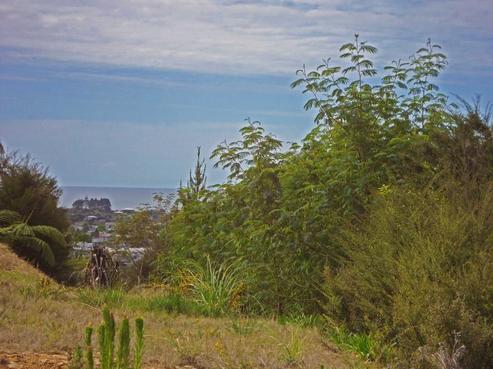 51 Windsor Drive, Tairua