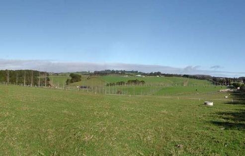395 Pungaere Road, Kerikeri Surrounds