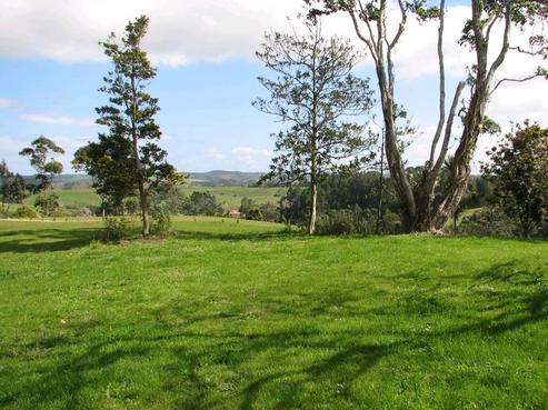 4 The Ridge, Kerikeri