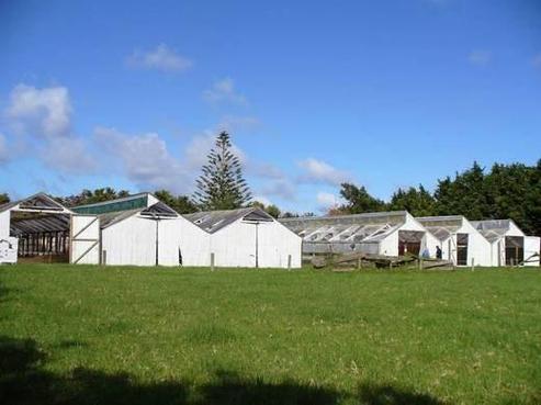 4014 State Highway 12, Ruawai