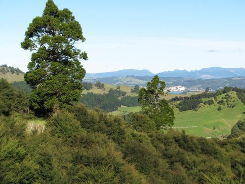 750A Kuaotunu Wharekaho Road, Whangapoua