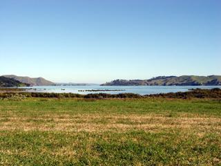 12 Koromiko Drive, Coromandel