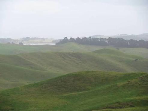 107 Airstrip Road, Dargaville Surrounds