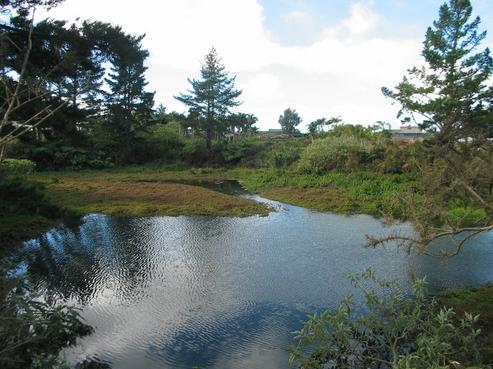 2591 State Highway 10, Kerikeri Surrounds