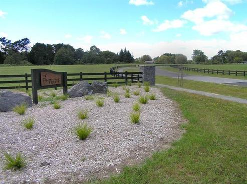 8 Hart Road, Pukekohe