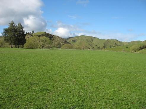 444 Waitewhena Road, Ohura