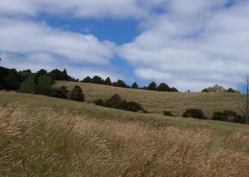 845 Whangaripo Valley Road, Whangaripo