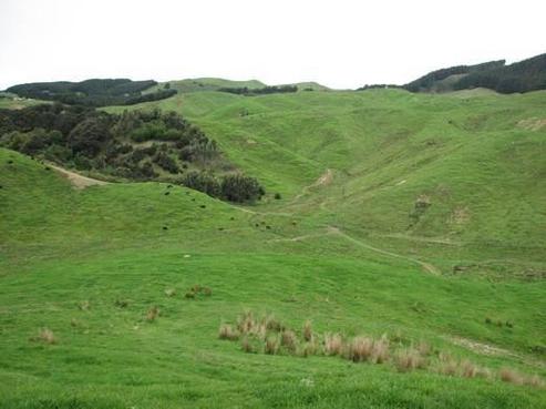 208 Forest Hill Road, Aokautere