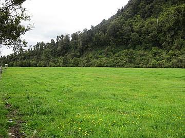 156 Franz Josef Highway, Whataroa